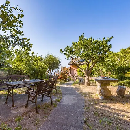 Casa Del Mandarino * 조이오사마레아